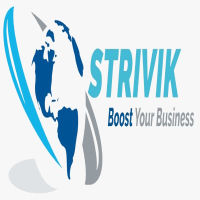 strivik business solutions pvt ltd 