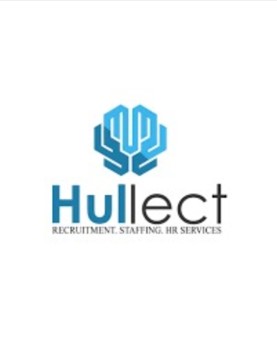 Hullect services private limited 
