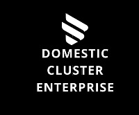 Domestic cluster enterprise